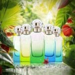 Mystic Bloom Perfume – Enchanting Floral Fragrance